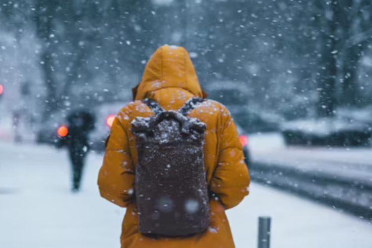 imagen-cuerpo imagen-cuerpo