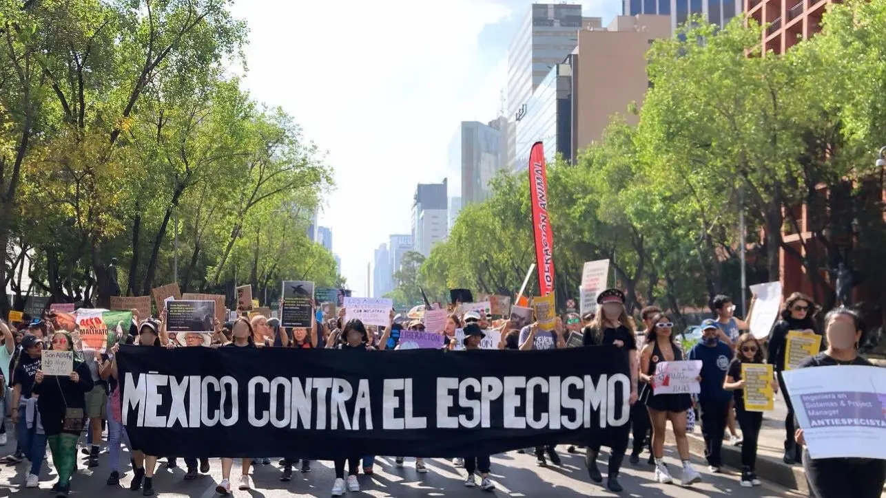 Marcha contra el Especismo en CDMX. Foto: Facebook (Marcha contra el Especismo CDMX)