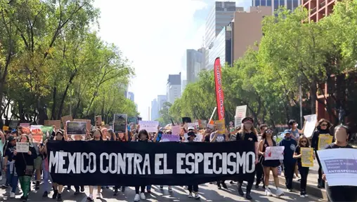 Marcha contra el Especismo 2025 en CDMX: fecha, lugar y cómo apoyar a el bienestar animal Marcha contra el Especismo 2025 en CDMX: fecha, lugar y cómo apoyar a el bienestar animal