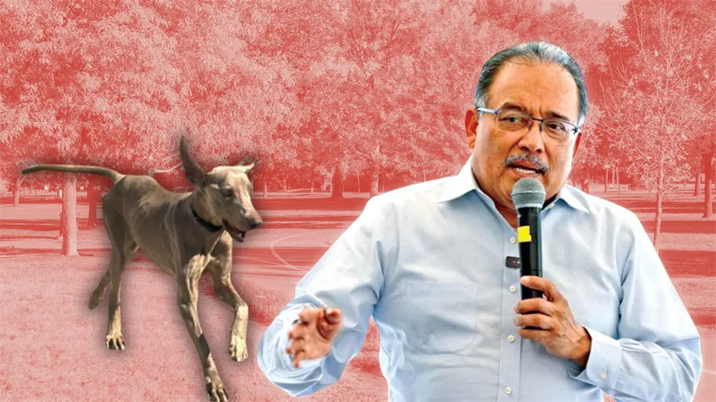 Andrés Mijes invita a adoptar a Lazarito, el perrito rescatado que busca un hogar