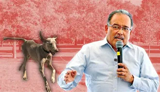 Andrés Mijes invita a adoptar a Lazarito, el perrito rescatado que busca un hogar