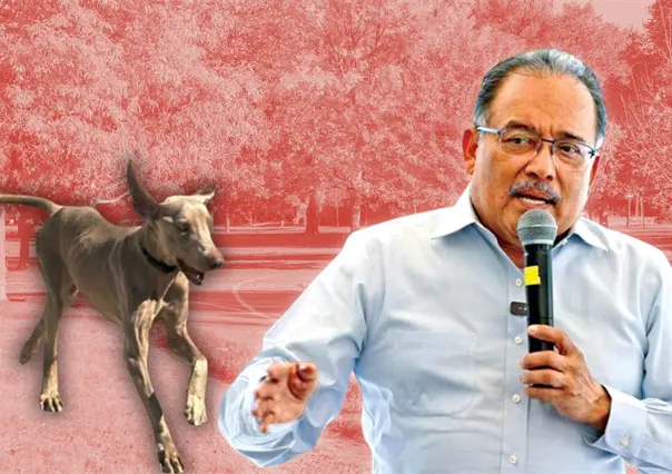 Andrés Mijes invita a adoptar a Lazarito, el perrito rescatado que busca un hogar