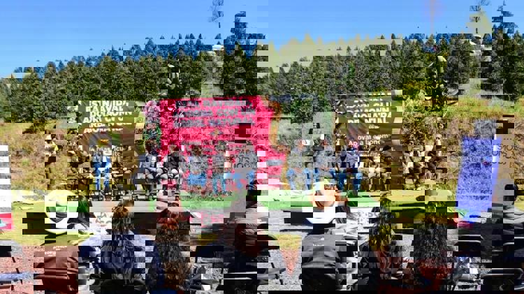 imagen-cuerpo imagen-cuerpo