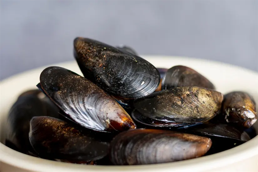 imagen recuadro El abulón se alimenta principalmente del ostión | Foto: FB