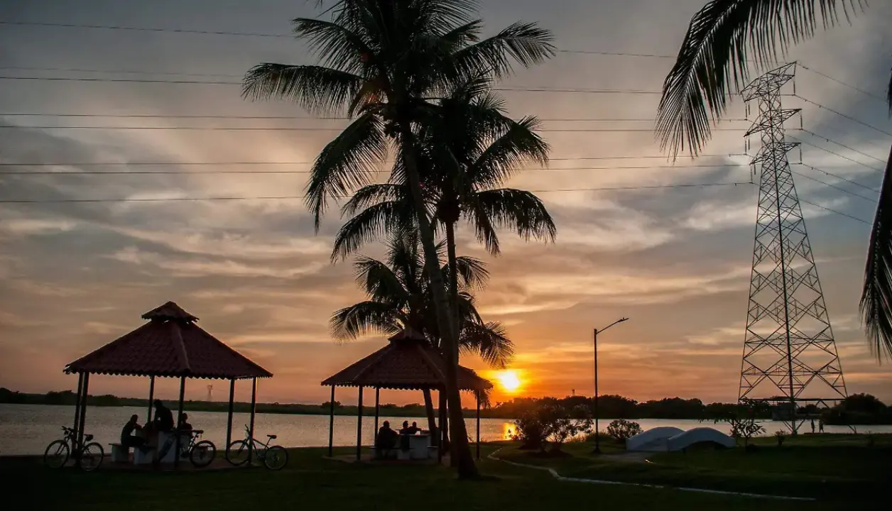 Del 10 al 22 de noviembre, cinco municipios formarán parte de una ruta cultural pensada para que niñas, jóvenes y adultos se acerquen a la lectura sin complicaciones. Foto: Ayuntamiento de Tampico