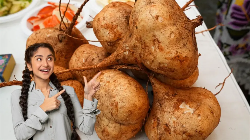 Festival de la Jícama 2025: Maxcanú celebra su identidad y tradición con sabor local