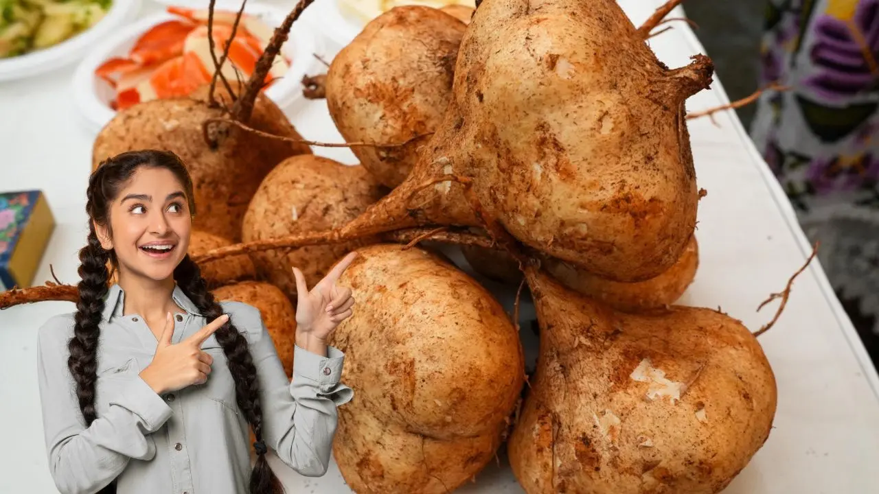 ¿Cuándo y dónde se realizará el Festival de la Jícama 2025? Foto: Canva | Cortesía