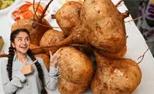 Festival de la Jícama 2025: Maxcanú celebra su identidad y tradición con sabor local Festival de la Jícama 2025: Maxcanú celebra su identidad y tradición con sabor local