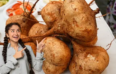 Festival de la Jícama 2025: Maxcanú celebra su identidad y tradición con sabor local