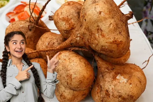 Festival de la Jícama 2025: Maxcanú celebra su identidad y tradición con sabor local