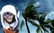 ¿Cuándo entra el nuevo Frente Frío a Yucatán y por qué tendrá más heladez? ¿Cuándo entra el nuevo Frente Frío a Yucatán y por qué tendrá más heladez?