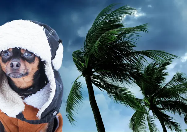 ¿Cuándo entra el nuevo Frente Frío a Yucatán y por qué tendrá más heladez?