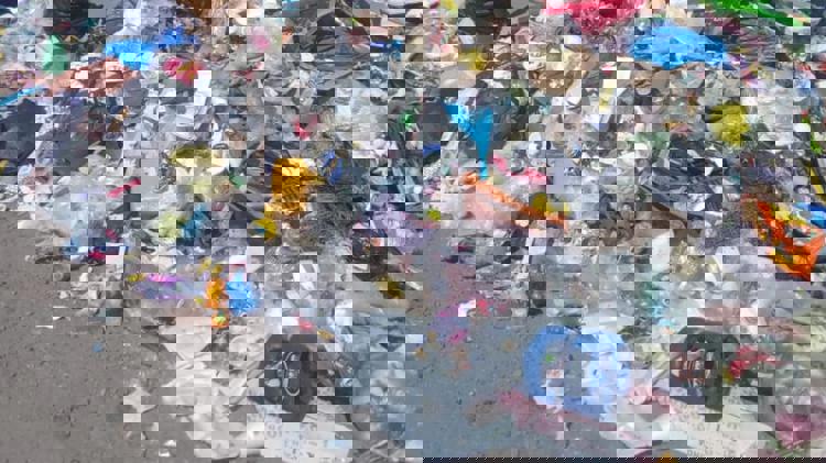 imagen-cuerpo imagen-cuerpo