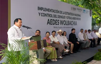 Los "mosquitos buenos" de Yucatán: la innovación científica que está frenando el dengue