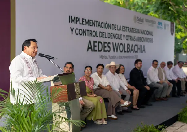 Los "mosquitos buenos" de Yucatán: la innovación científica que está frenando el dengue