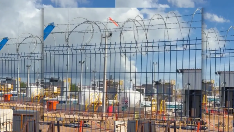 imagen-cuerpo imagen-cuerpo