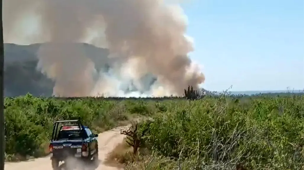 Incendio en palmar de El Pescadero: bomberos y unidades de emergencia en el lugar