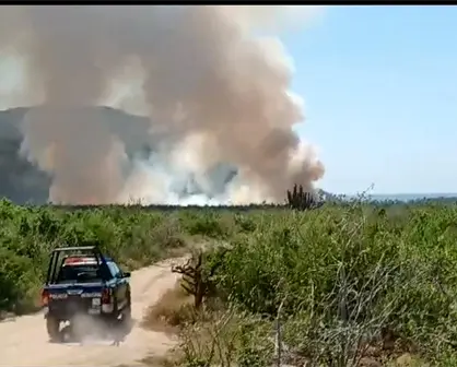 Incendio en palmar de El Pescadero: bomberos y unidades de emergencia en el lugar
