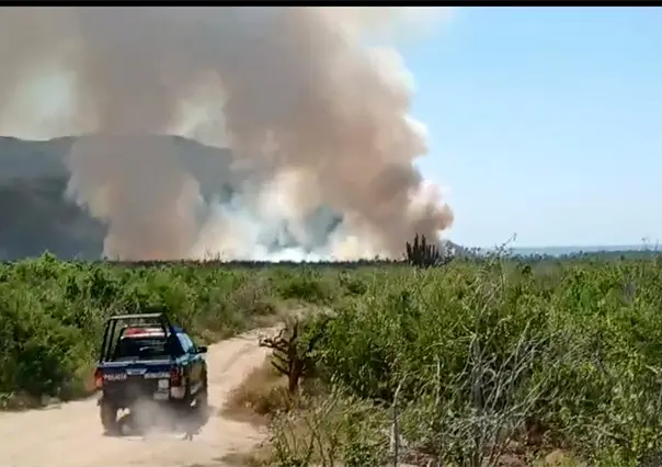 Incendio en palmar de El Pescadero: bomberos y unidades de emergencia en el lugar