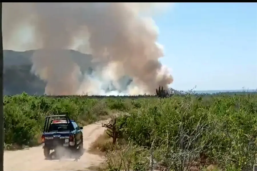 Incendio en palmar de El Pescadero: bomberos y unidades de emergencia en el lugar