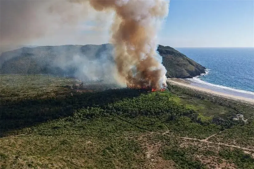 imagen recuadro Foto: La noticias desde Cabo.