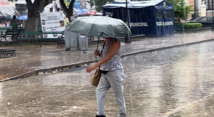 imagen-cuerpo imagen-cuerpo