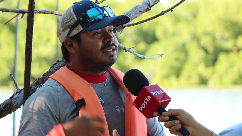 Manglares de Río Lagartos: barreras naturales que protegen Yucatán de huracanes y erosión costera