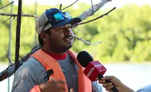 Manglares de Río Lagartos: barreras naturales que protegen Yucatán de huracanes y erosión costera Manglares de Río Lagartos: barreras naturales que protegen Yucatán de huracanes y erosión costera