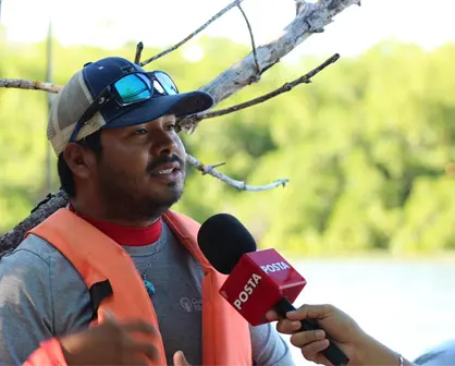 Manglares de Río Lagartos: barreras naturales que protegen Yucatán de huracanes y erosión costera