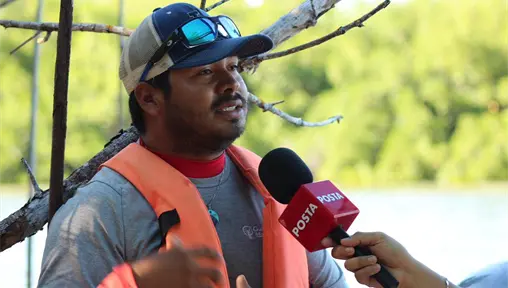 Manglares de Río Lagartos: barreras naturales que protegen Yucatán de huracanes y erosión costera Manglares de Río Lagartos: barreras naturales que protegen Yucatán de huracanes y erosión costera