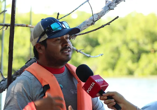 Manglares de Río Lagartos: barreras naturales que protegen Yucatán de huracanes y erosión costera