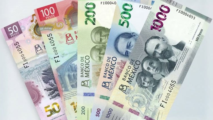 imagen-cuerpo imagen-cuerpo