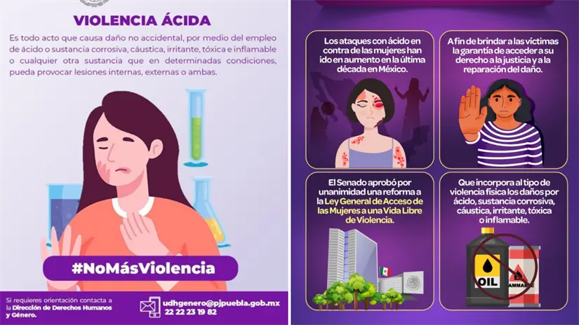 imagen recuadro Foto: Poder Judicial del Estado de Puebla / Facebook | @senadomexicano / X