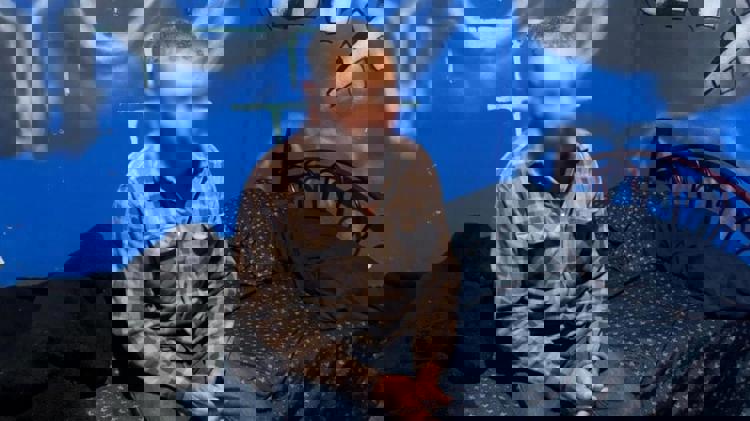 imagen-cuerpo imagen-cuerpo