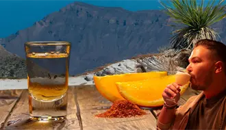 Sotol Fest Torreón 2025: tradición, naturaleza y sabor en un solo evento