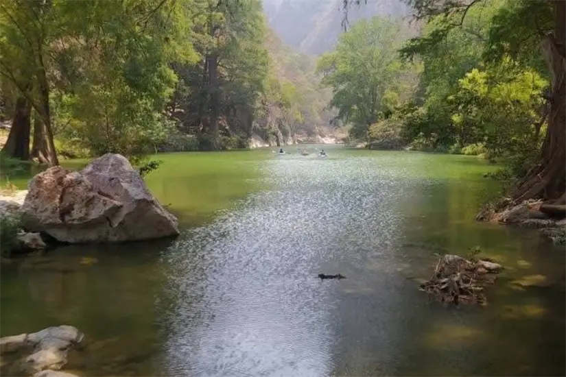 imagen recuadro El impulso consiste en capacitaciones, certificaciones y promoción | Foto: Turismo Tamaulipas