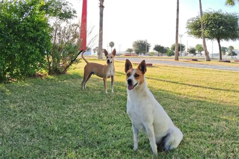 imagen recuadro Wero y Manolo lanzarán su propia marca | Foto: FB Wero y Manolito de la Torre