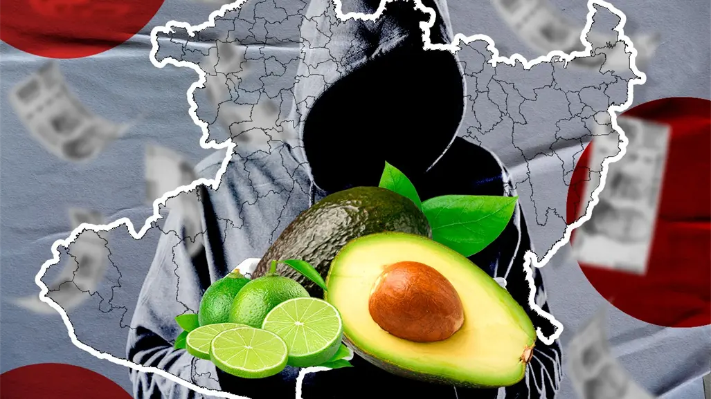 La economía del terror en Michoacán: cobro de piso en limones y aguacates