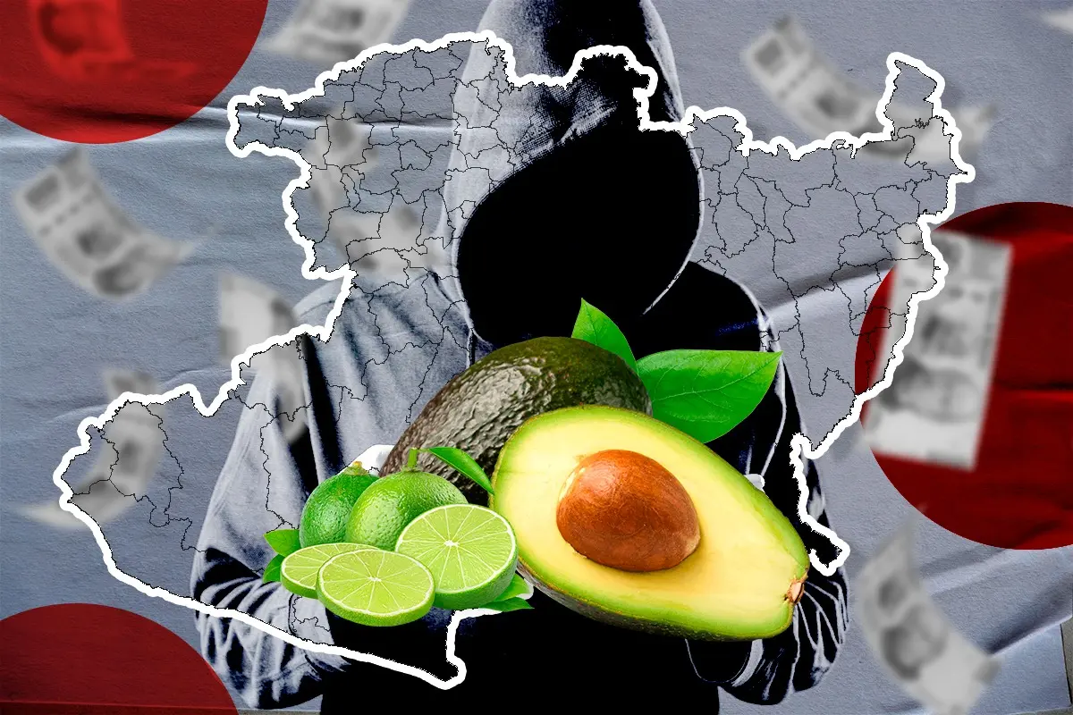 La  economía del terror en Michoacán: cobro de piso en limones y aguacates. Foto: Canva