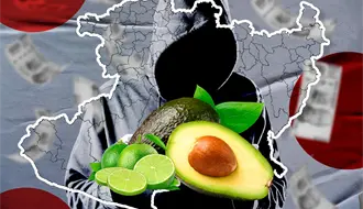 La economía del terror en Michoacán: cobro de piso en limones y aguacates