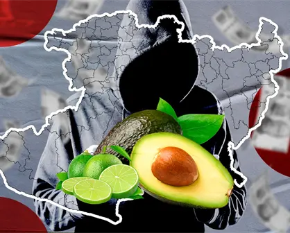 La economía del terror en Michoacán: cobro de piso en limones y aguacates