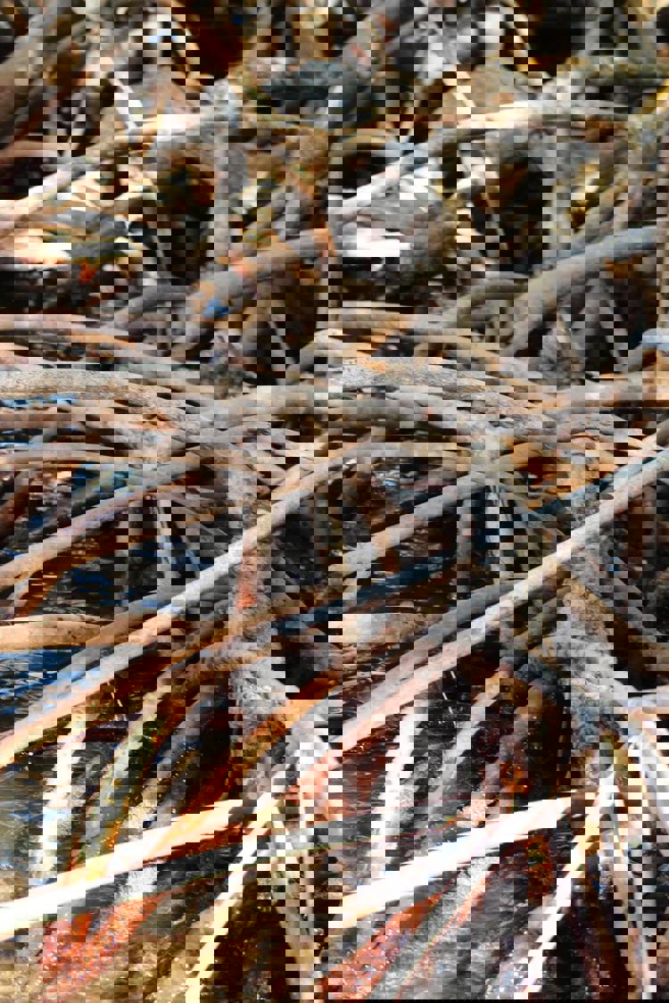 imagen-cuerpo imagen-cuerpo