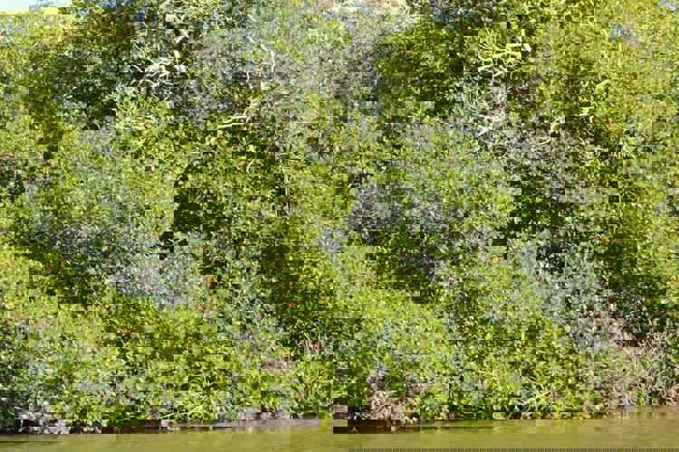 imagen-cuerpo imagen-cuerpo