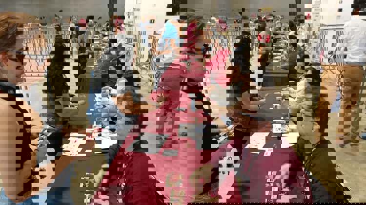 imagen-cuerpo imagen-cuerpo