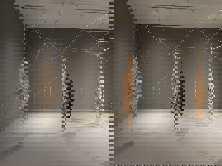 imagen-cuerpo imagen-cuerpo