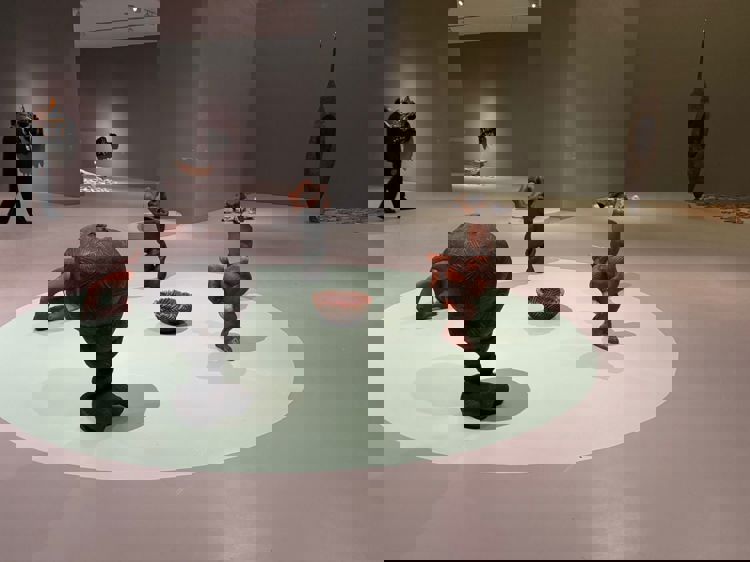 imagen-cuerpo imagen-cuerpo