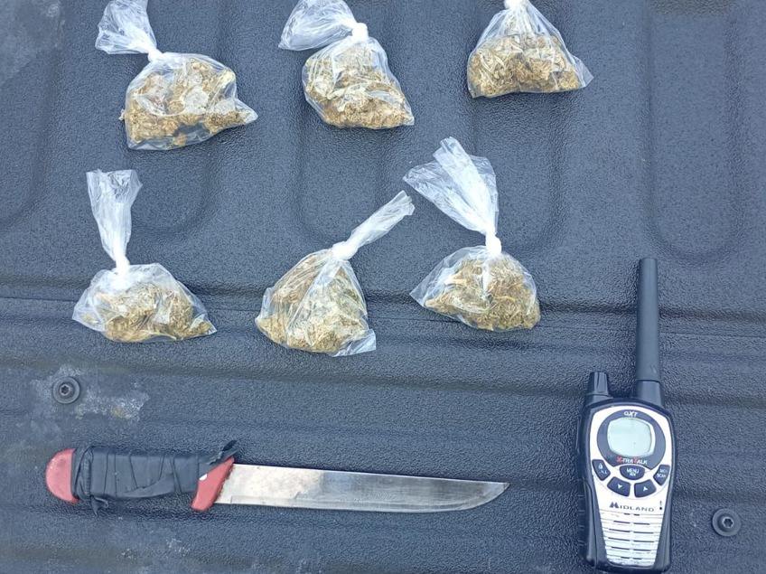 imagen-cuerpo imagen-cuerpo