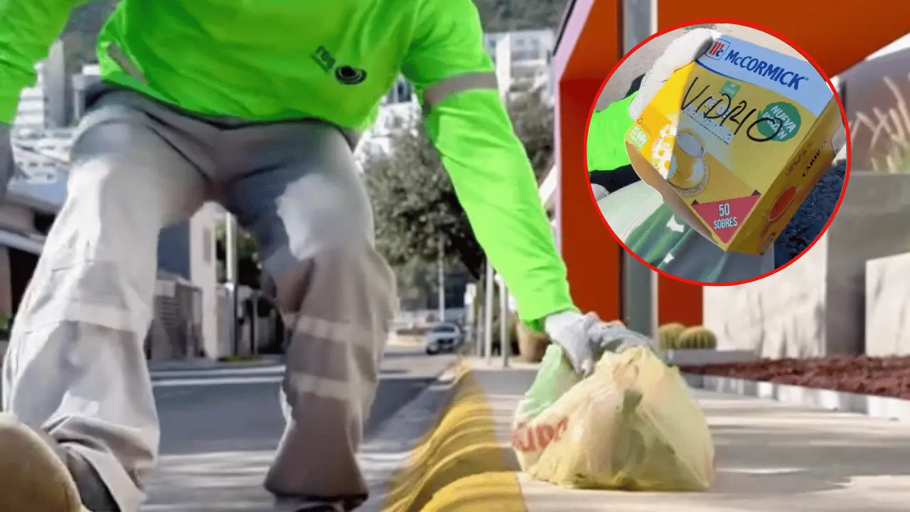 Red Ambiental enfatiza que la solución es simple y reside en un acto de responsabilidad ciudadana. Foto: Canva.