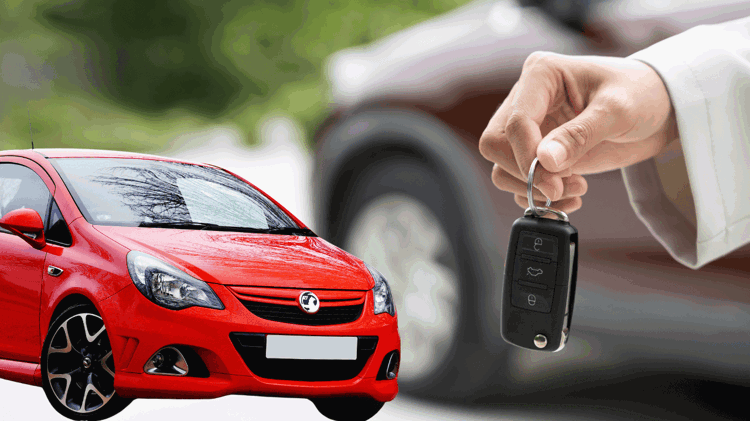 imagen-cuerpo imagen-cuerpo