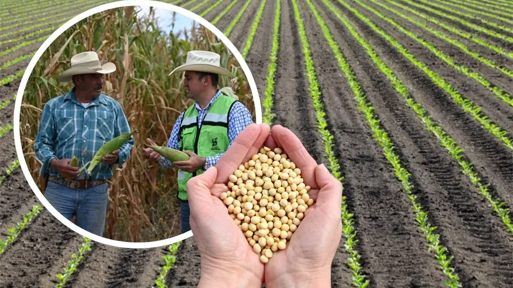 ¿Qué es la agricultura sostenible y por qué Coahuila dará incentivos a quienes la practiquen?